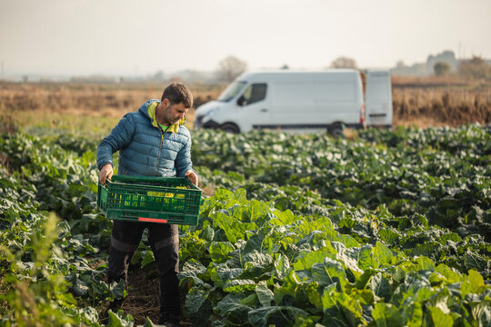 A man ecofarmer working