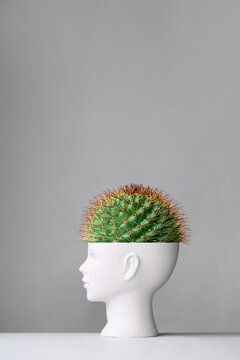 Woman's head with cactus