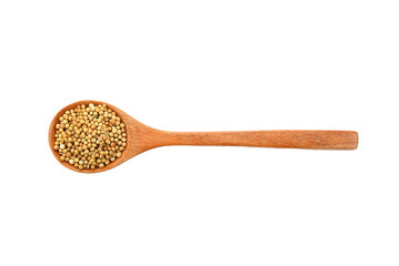 Coriander seeds in spoon isolated on transparent png