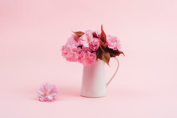 Pink cherry blossom in a jug on pink background. Still life