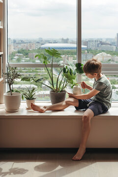 Boy takes care of green houseplants.