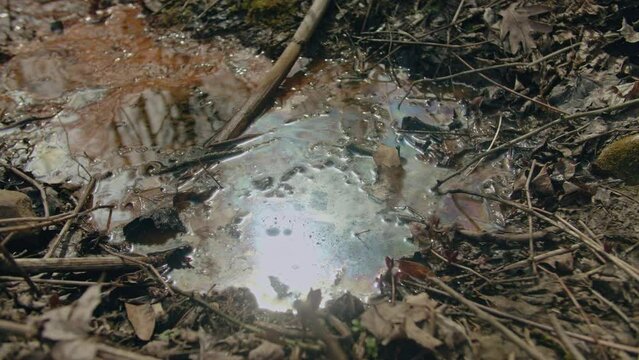 contaminated water puddle near a river bank. captured near the East Palestine, Ohio, train derailment