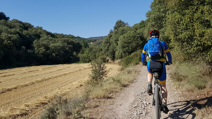 Obraz premium Paisagem com ciclistas percorrendo o caminho francês de Santiago de Compostela, pedalando por estrada rural, passsando por floresta e plantação de trigo.