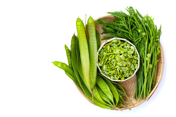 Leucaena leucocephala isolated on white background