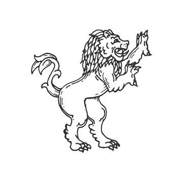 Lion medieval heraldic animal sketch of vintage royal heraldry. Vector coat of arms, insignia or knight crest of hand drawn lion rampant with raised forepaws. Antique king of beast, blazon element