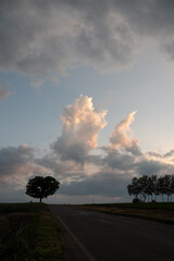 Obraz na płótnie Canvas 夕日を反射する丘の上の雲 