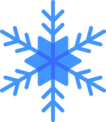 Fototapeta premium snowflake icon
