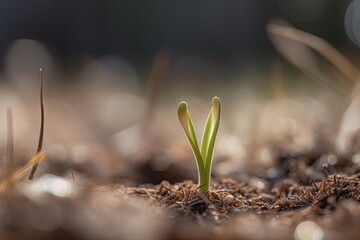 tiny green plant emerging from the soil. Generative AI