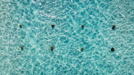 Old jetty posts in the water