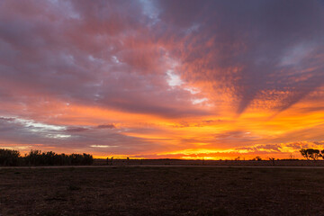 red sunset over the field