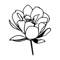 Flower Vector Icon