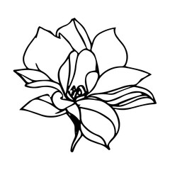 Flower Vector Icon