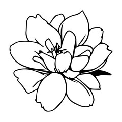 Flower Vector Icon
