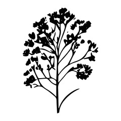 Flower Vector Icon