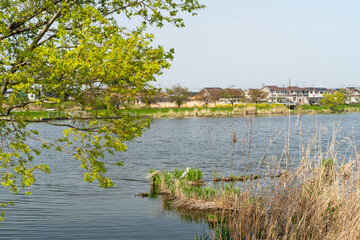 鶴生田川の風景
