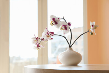 Vase with orchid flowers on white table near window indoors