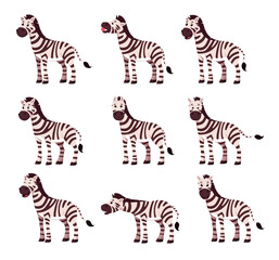 Fototapeta na wymiar Set of zebra