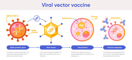 Viral vector vaccine
