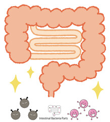 小腸、大腸、腸内細菌のベクターイラスト
