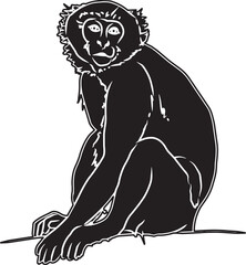 Vervet Monkey Sketch Vector