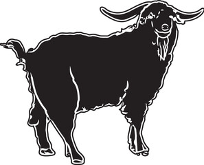 Angora Goat Sketch Vector