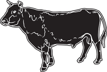 Randall Bull Sketch Vector