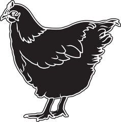 Orpington Chicken Sketch Vector