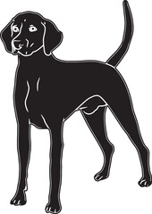 American Foxhound Sketch