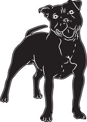 American Pitbull Terrier Sketch