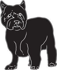 West Highland White Terrier Sketch