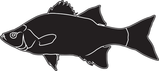White Bass Hand sketched, hand drawn vector clipart