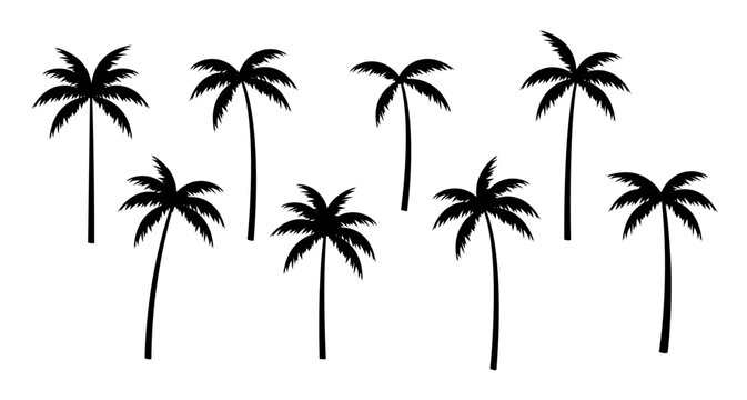Palm tree vector silhouette coconut icon. Tropic palm tree miami black summer isolated design background.