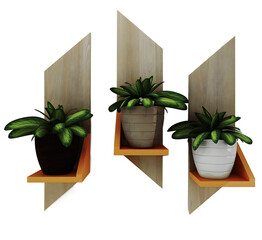 Three plants are on a shelf with one that says plant. PNG