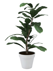 A plant in a pot with a white pot and a white pot with a green leaf .PNG