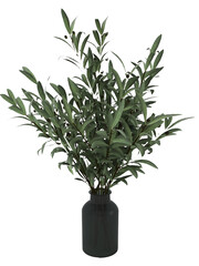 Fototapeta na wymiar A black vase with a green plant in it that says olive. PNG