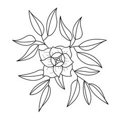 Floral doodle flower arrangement in outline style