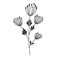 hand drawn botanical flowers in outline style, decorative floral element