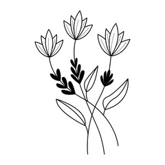 hand drawn botanical flowers in outline style, decorative floral element