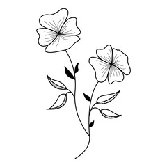 hand drawn sketch flowers illustration, decorative floral element