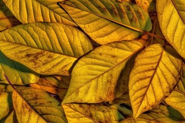 close-up view of a yellow leafy plant with intricate details. Generative AI