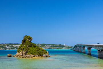 Naklejka premium 沖縄-カエル島-