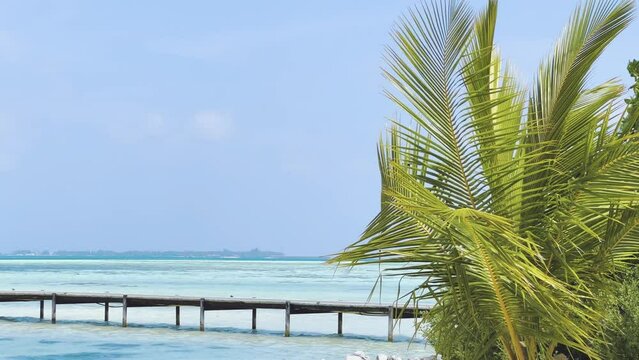 Experience the maldives Sublime Beauty of the Island's Azure Blue Ocean Waters, Captured in Stunning Slow-Motion Close-Up Shots Alongside the Majestic Palm Trees and Lush Greenery