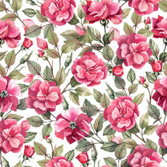 Pink rose flowers watercolor seamless pattern. Delicate, beautiful background with interlacing branches of roses.