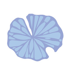 Sand dollar fossil vector illustration for decoration on marine life and coastal style.