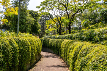 Pathways at Fort Canning Park in Singapore