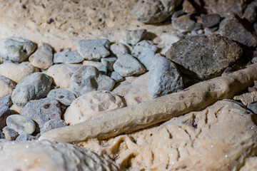 Wooden sticks and stones with surface coated with stalactites