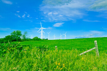 Wind turbines on field in a beautiful day