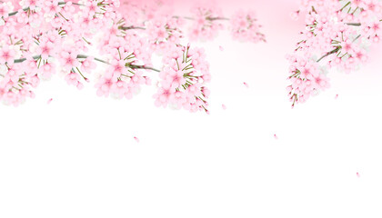 Transparent background with sakura decoration on top
