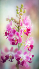 Naklejka na ściany i meble Beautiful pink orchid flower with bokeh background. 
