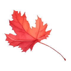 autumn leaf with style hand drawn digital painting illustration